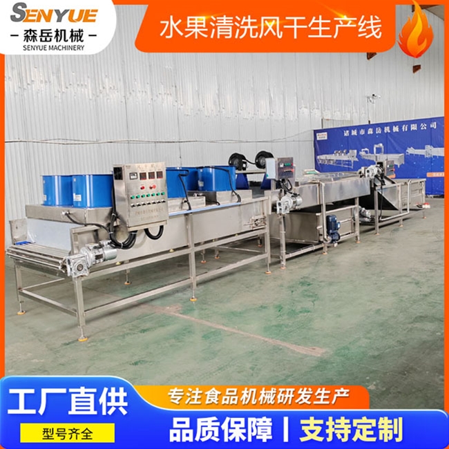 水果清洗打蜡机